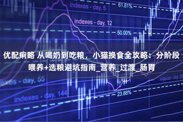 优配痢略 从喝奶到吃粮，小猫换食全攻略：分阶段喂养+选粮避坑指南_营养_过渡_肠胃