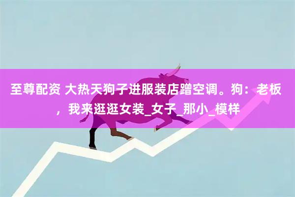 至尊配资 大热天狗子进服装店蹭空调。狗：老板 ，我来逛逛女装_女子_那小_模样
