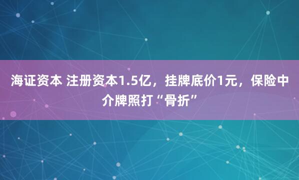 海证资本 注册资本1.5亿，挂牌底价1元，保险中介牌照打“骨折”